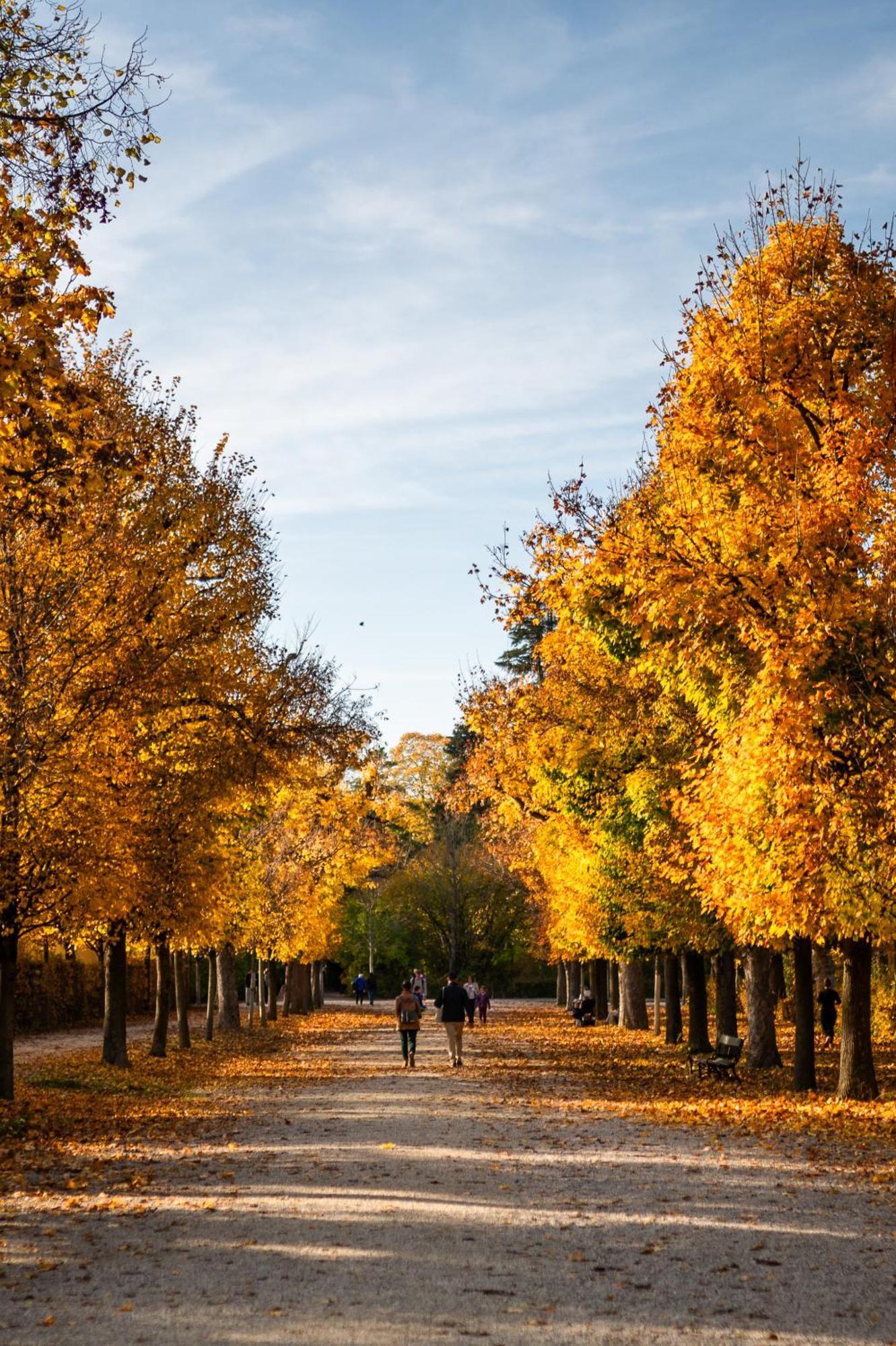 Weltwien Luxury Art & Free Parking 4* Wien